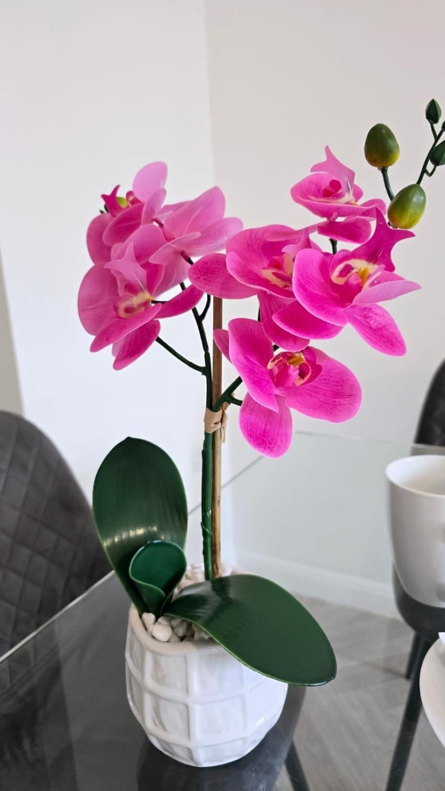 Luxury Green 1 Bed City Centre Apartment Close To Mailbox,Bullring, Broad Street For Leisure And Families Birmingham Ngoại thất bức ảnh